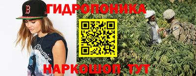 PSILOCYBIN Будённовск